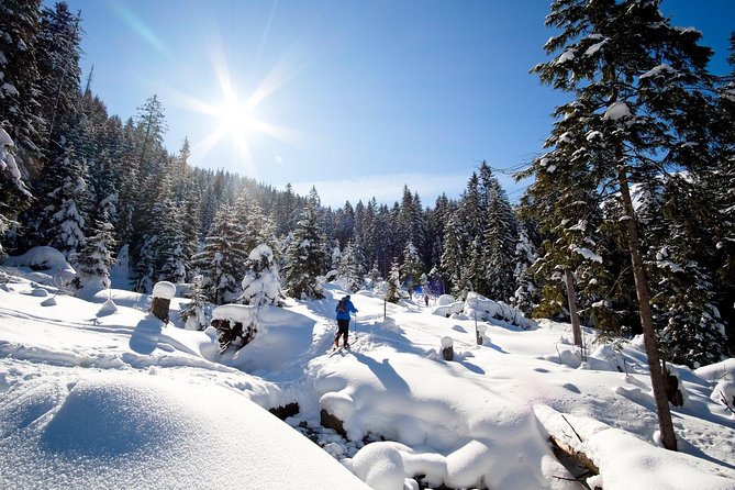 4 hours skitour trip in Tatra Mountains for beginners with renting equipment - A small group with a local certified guide