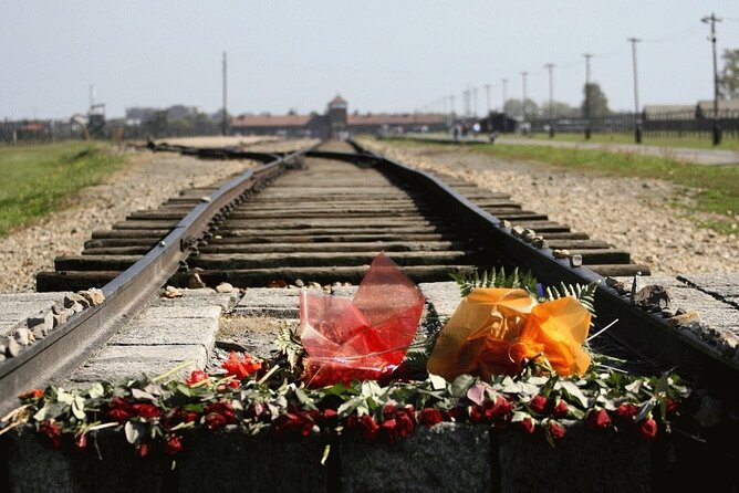 Auschwitz and Birkenau Guided Tour from Krakow - The value of a small group and museum guide