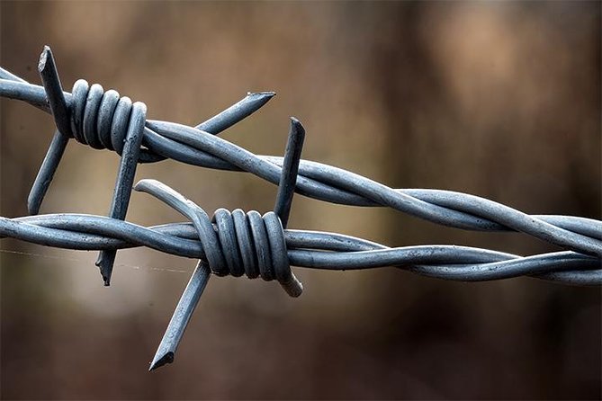 Auschwitz and Birkenau Tour - Why this Krakow day trip matters