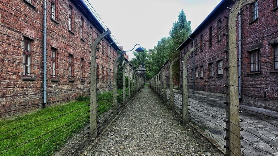 Auschwitz-Birkenau and Krakow Private Car Trip from Katowice - Should you book this Katowice day trip?