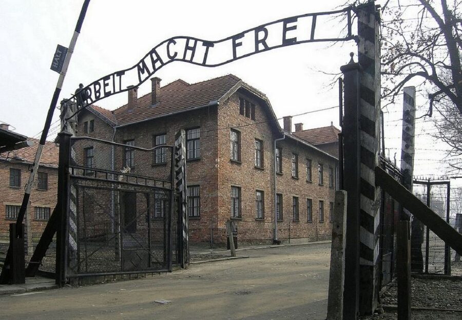 Auschwitz-Birkenau and Krakow Private Car Trip from Katowice - What the licensed guide adds at Auschwitz