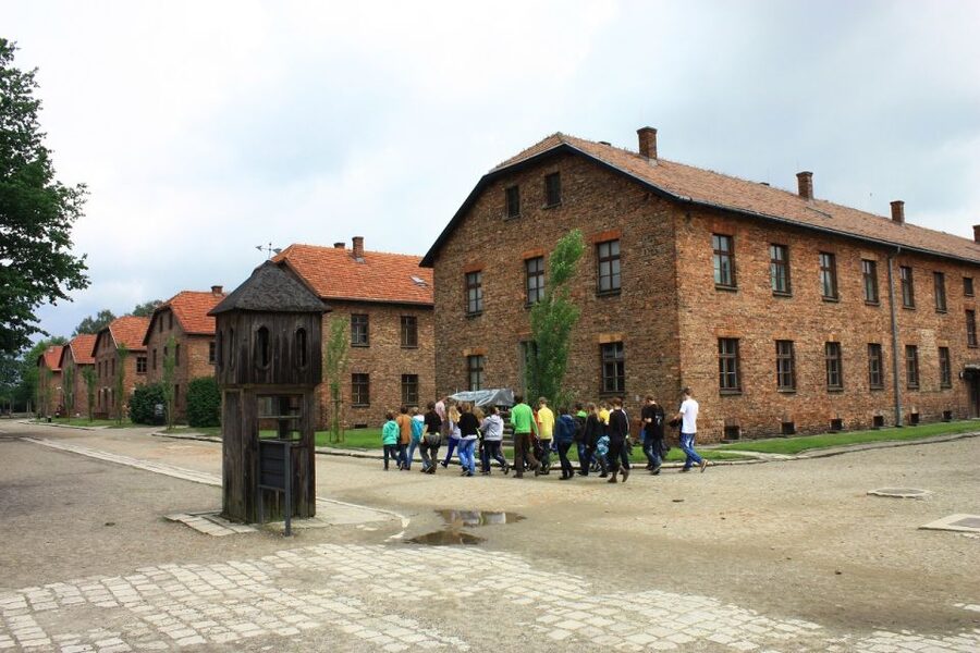 Auschwitz-Birkenau and Krakow Private Car Trip from Katowice - Who should choose the six-hour option?