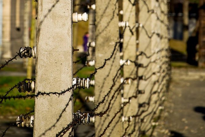 Auschwitz Birkenau and Salt Mine Full Day Guided Tour from Krakow hotel pick up - Transport, group size, and the feel of the day