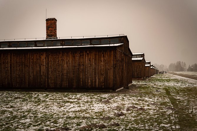 Auschwitz-Birkenau and Wieliczka Salt Mine Day Tour from Krakow with private car - Why this two-stop day works in Krakow