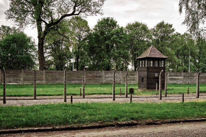 Auschwitz Birkenau: Complete Private Tour - What the guide and driver add to the day