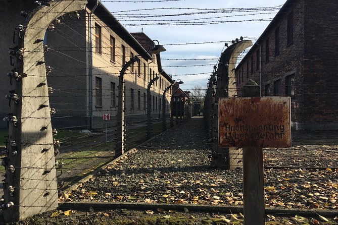 Auschwitz-Birkenau Day Tour from Wroclaw - Auschwitz II-Birkenau: scale, silence, and open ground