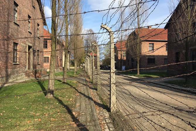 Auschwitz-Birkenau Day Tour from Wroclaw - A formal museum guide and a helpful driver