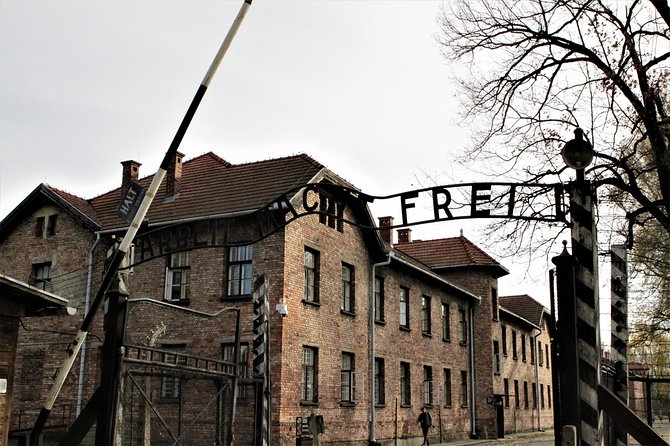 Auschwitz & Birkenau English guided tour by private transport from Katowice - Birkenau Memorial: one hour for the wider site