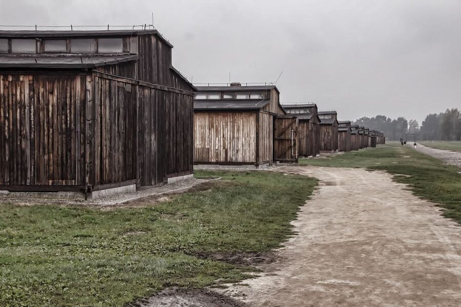 Auschwitz-Birkenau: Entrance Ticket and Live Tour Guide - Why this Auschwitz visit matters
