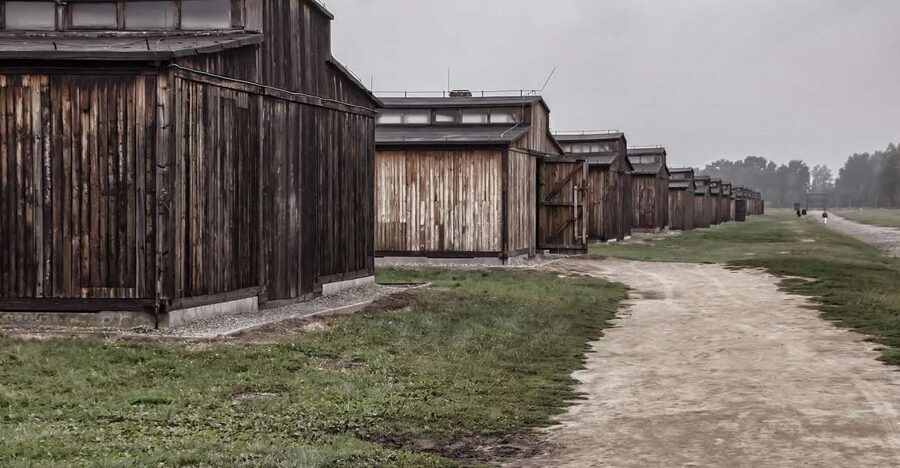 Auschwitz-Birkenau: Entrance Ticket and Live Tour Guide - What makes Auschwitz I different