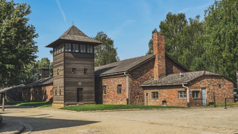 Auschwitz-Birkenau: Entrance Ticket and Live Tour Guide - The guide and the quality of the experience