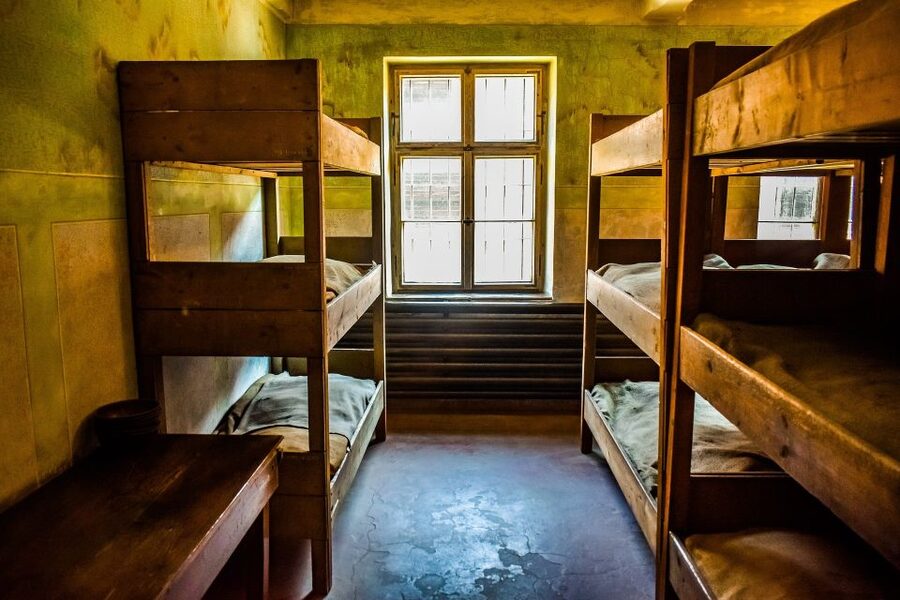 Auschwitz-Birkenau: Entrance Ticket and Live Tour Guide - Who should book this tour
