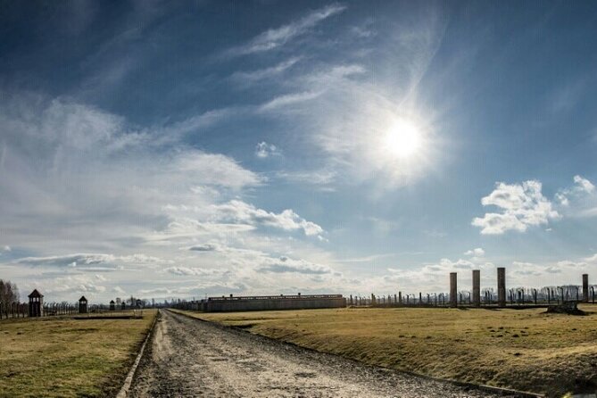 Auschwitz-Birkenau: Entry Ticket with Guided Tour - A professional guide adds value, but the language needs checking