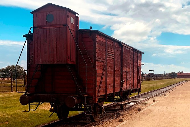 Auschwitz-Birkenau Guided Shared Tour from Krakow - Birkenau and the scale of the camp