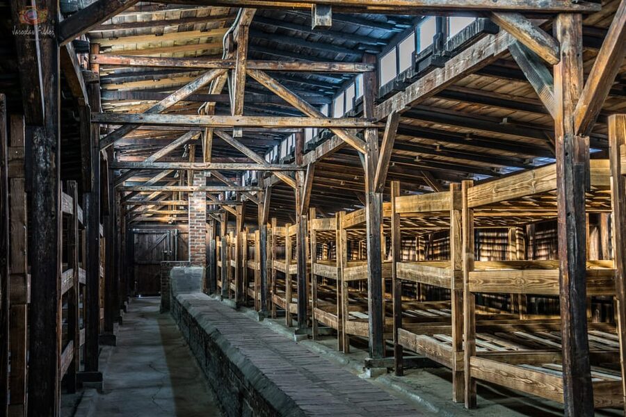 Auschwitz-Birkenau: Guided Tour and Skip-The-Line Ticket - Birkenau, the final hour