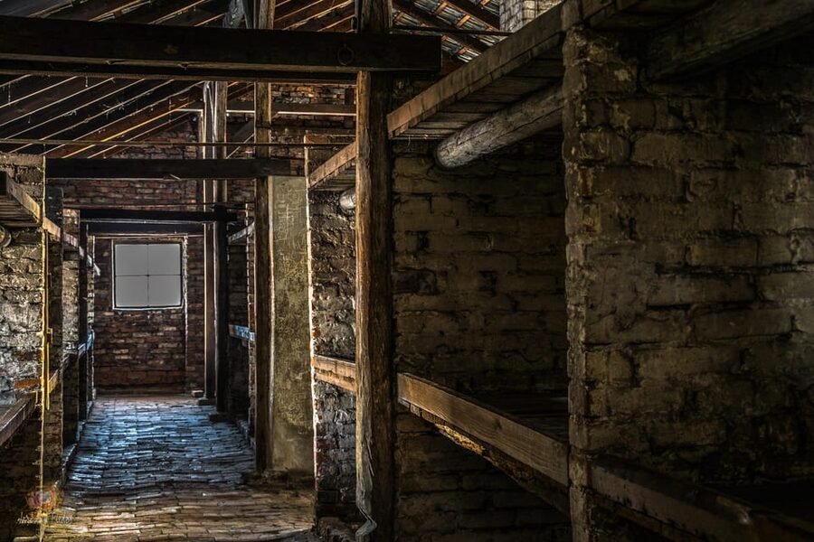 Auschwitz-Birkenau: Guided Tour and Skip-The-Line Ticket - What the licensed guide adds