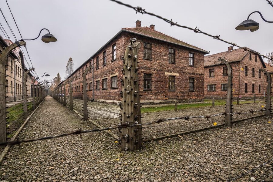 Auschwitz-Birkenau: Guided Tour and Skip-The-Line Ticket - Who should choose this tour