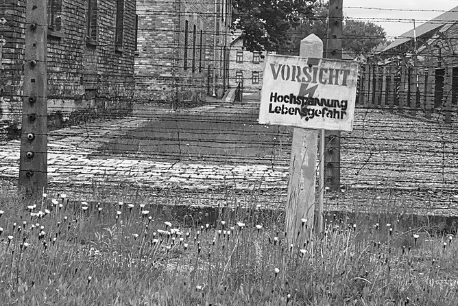 Auschwitz-Birkenau guided tour from Krakow - private car - Birkenau’s barracks, ramp, and memorial