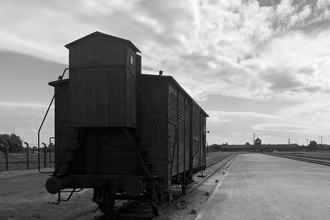 Auschwitz-Birkenau guided tour from Krakow - private car - Timing, lunch, and what the six and a half hours means