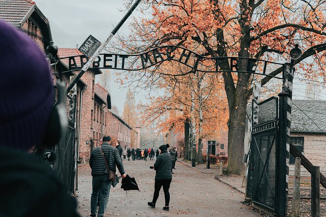 Auschwitz Birkenau guided tour from Krakow private chauffeur - The Krakow pickup and the early start