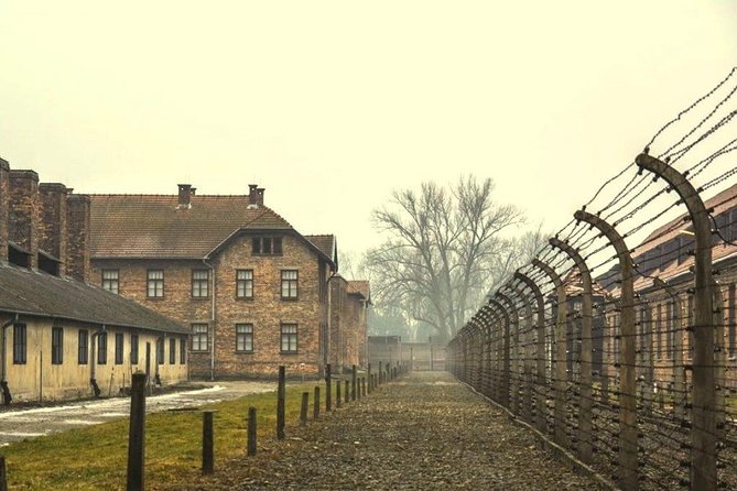 Auschwitz-Birkenau guided tour & skip the line Tickets & Transfer - Why this Auschwitz visit matters