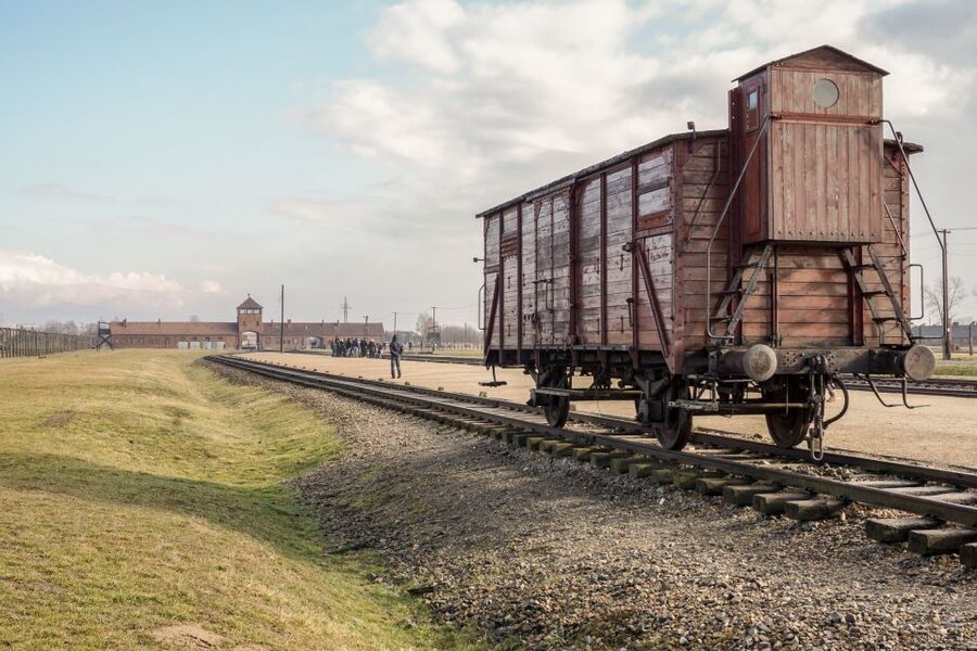 Auschwitz-Birkenau Guided Tour & Transfer from Krakow - What the $34 price really covers
