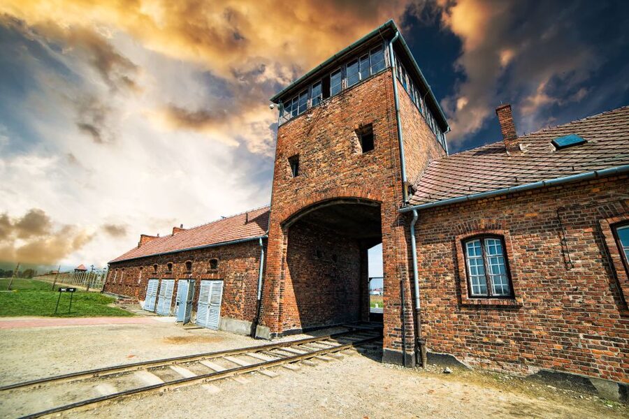 Auschwitz-Birkenau Guided Tour & Transfer from Krakow - Identification and booking details that matter