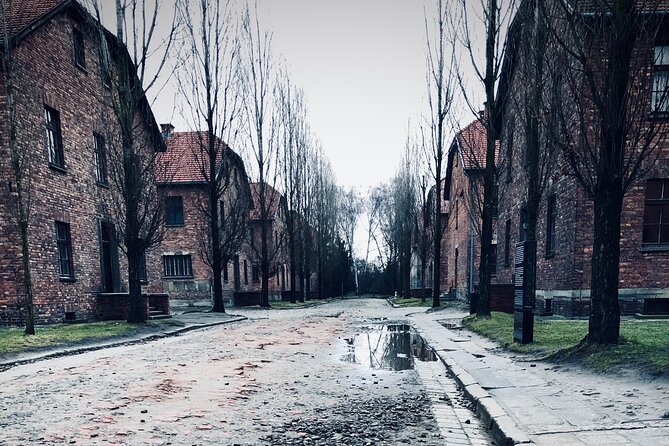 Auschwitz-Birkenau Guided Tour with Private Transport from Kraków - Key points at a glance