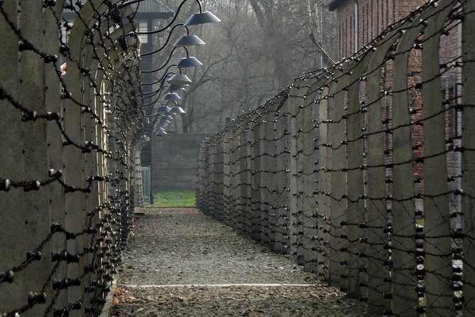 Auschwitz-Birkenau last minute guided Tour - Why this visit matters