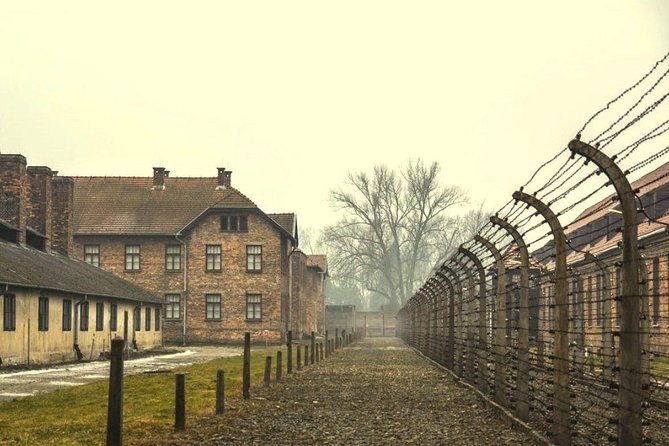 Auschwitz Birkenau Memorial and Museum group tour from Krakow - Preparing for a respectful and smooth visit
