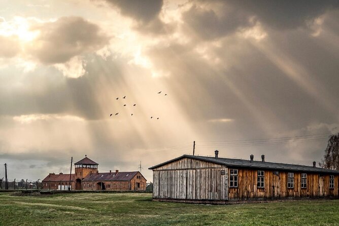 Auschwitz-Birkenau Memorial and Museum Guided Tour - Private Transport - Why private transport matters from Krakow
