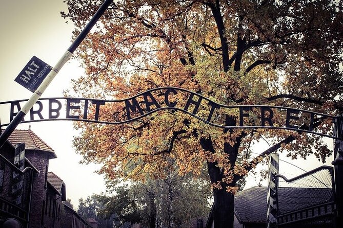 Auschwitz-Birkenau Memorial Entrance Ticket and Guided Tour - Birkenau and the enormous scale of Auschwitz II