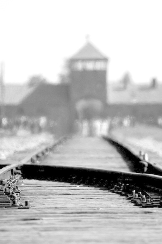 Auschwitz-Birkenau: Memorial Entry Ticket and Guided Tour - The short transfer to Auschwitz II-Birkenau