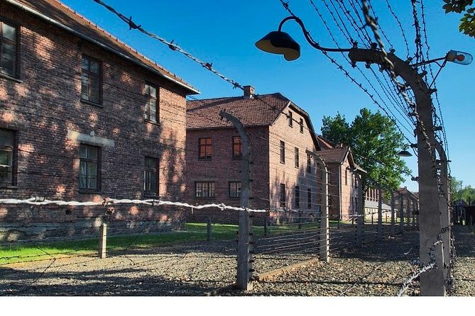 Auschwitz-Birkenau Museum and Memorial Guided Tour from Krakow - The prison blocks, gas chambers, and crematoriums