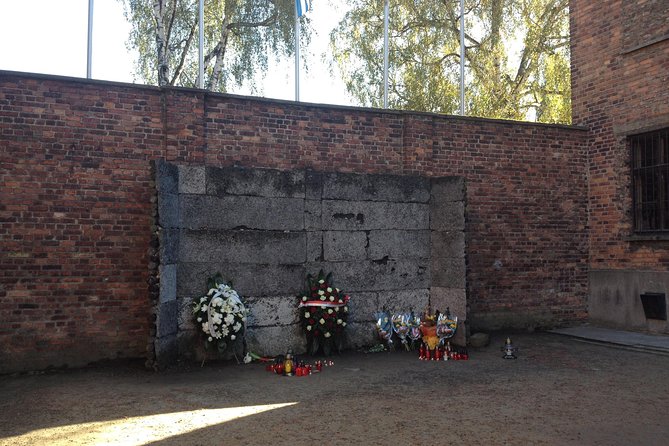 Auschwitz-Birkenau Museum and Memorial Guided Tour from Krakow - Birkenau and the long memorial walk