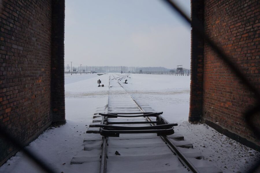 Auschwitz-Birkenau: Museum Entry Ticket with Guided Tour - Auschwitz II-Birkenau: the railway and the ruins