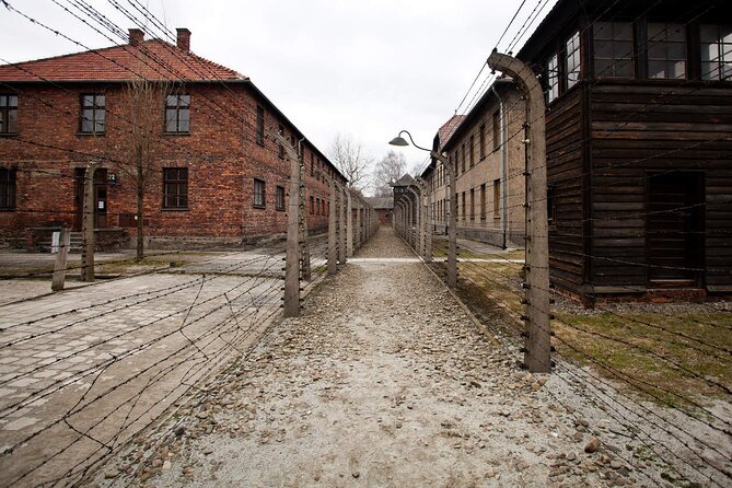 Auschwitz-Birkenau & Salt Mine Day tour - Birkenau: one hour across a larger site