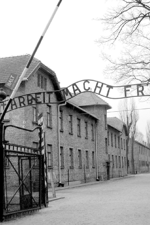 Auschwitz-Birkenau & Salt Mine Tour in One Day from Krakow - What the guides add at both attractions