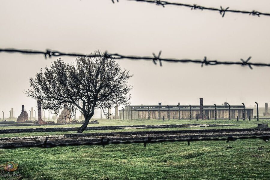 Auschwitz-Birkenau: Skip-the-Line Entry Ticket & Guided Tour - Key points before you book