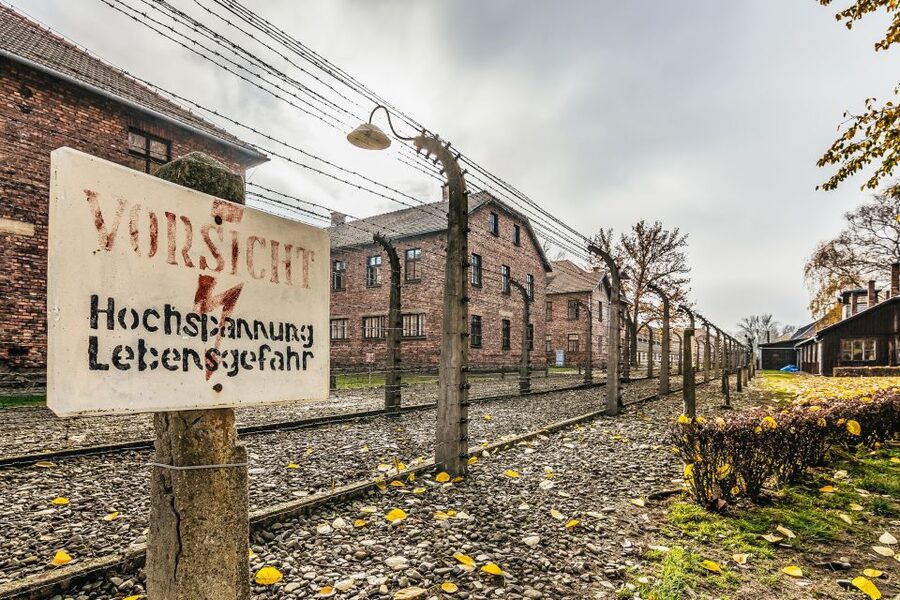 Auschwitz-Birkenau: Skip-the-Line Entry Ticket & Guided Tour - Why this Auschwitz-Birkenau visit matters