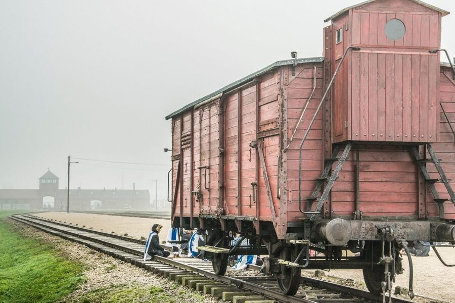 Auschwitz-Birkenau: Skip-the-Line Entry Ticket & Guided Tour - Meeting your guide and getting through security