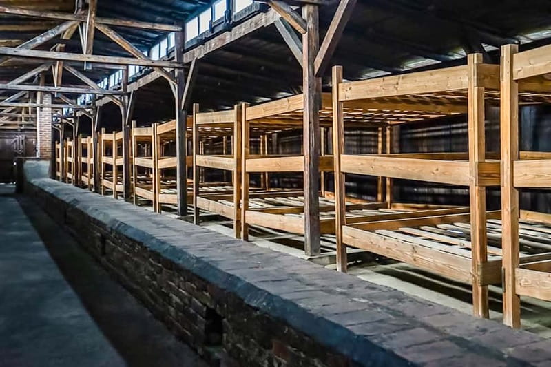 Auschwitz-Birkenau Skip-the-Line Guided Tour - Key points to know before you go