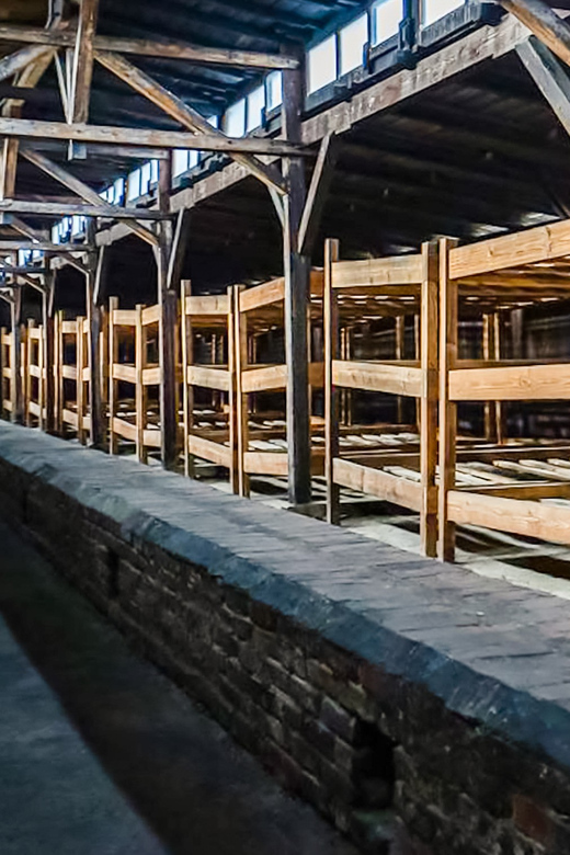Auschwitz-Birkenau Skip-the-Line Guided Tour - Auschwitz II-Birkenau and the scale of the site