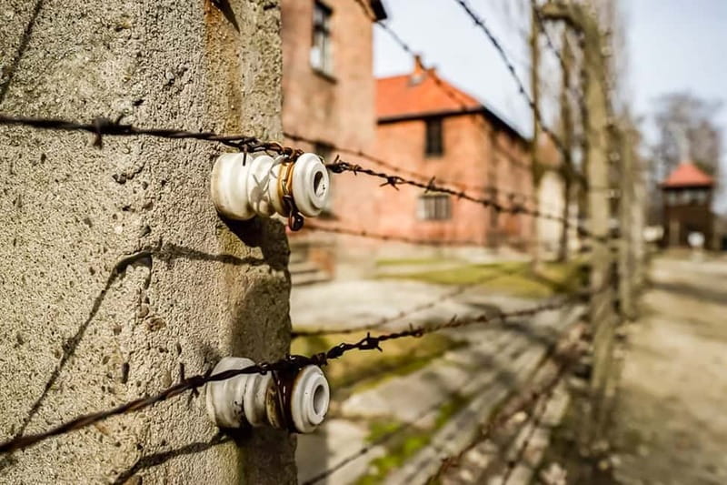 Auschwitz-Birkenau Skip-the-Line Guided Tour - The guides make the difference