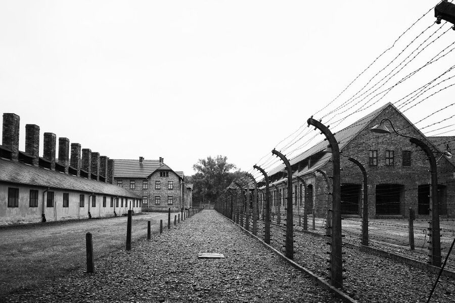Auschwitz-Birkenau Tour from Katowice with Private Transfers - Wheelchair access and physical demands
