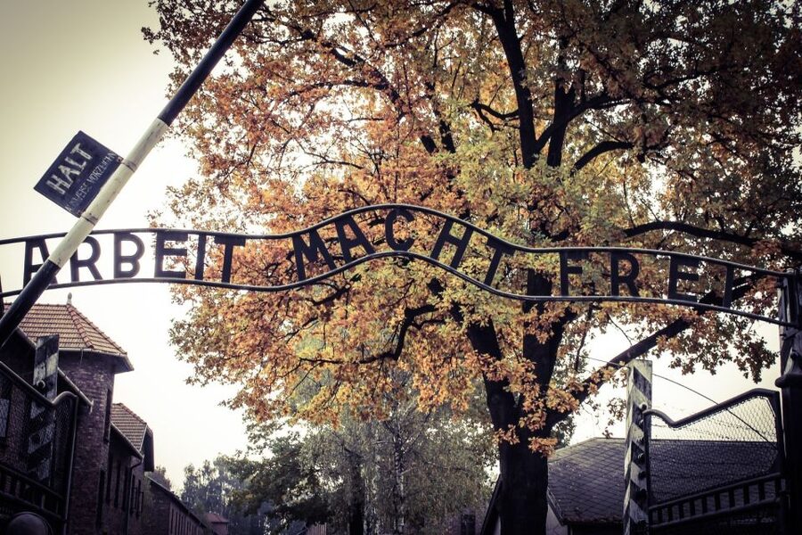 Auschwitz-Birkenau Tour from Katowice with Private Transfers - Why this Auschwitz visit matters