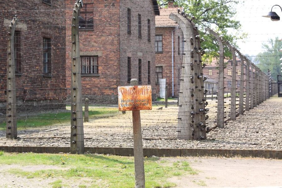 Auschwitz-Birkenau Tour from Katowice with Private Transfers - Is $219 per person good value?