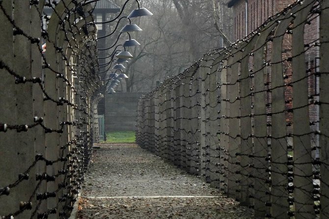 Auschwitz-Birkenau Tour from Wroclaw - Why this Auschwitz day trip matters