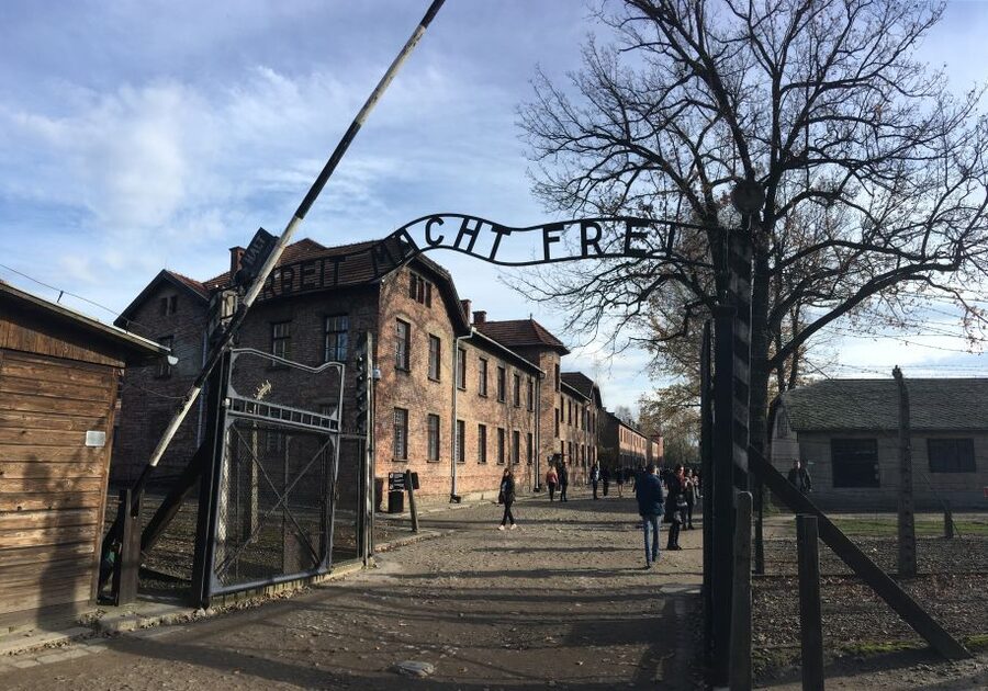 Auschwitz-Birkenau Tour from Wroclaw - Who should book this tour?