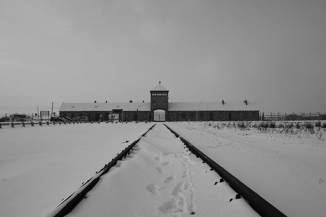 Auschwitz Birkenau Transfer and Guide with Salt Mine Combo Option - Birkenau and the scale of the camp complex